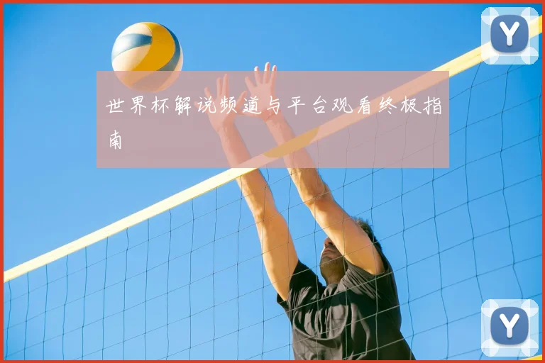 世界杯解说频道与平台观看终极指南